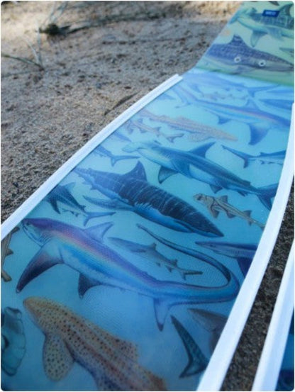 Divermon Thresher Shark Freediving fins - Infinity DiveDivermon Thresher Shark Freediving finsDivermon