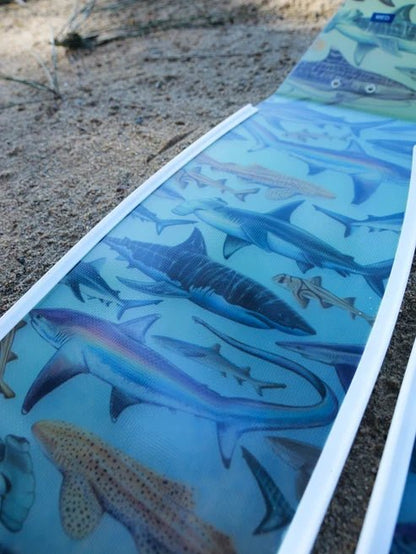 Divermon Thresher Shark Freediving fins - Infinity DiveDivermon Thresher Shark Freediving finsDivermon