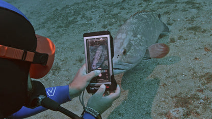 Divevolk SeaTouch 4 Max or 4 Max Plus Touchscreen Underwater Housing - Infinity DiveDivevolk SeaTouch 4 Max or 4 Max Plus Touchscreen Underwater HousingDivevolk