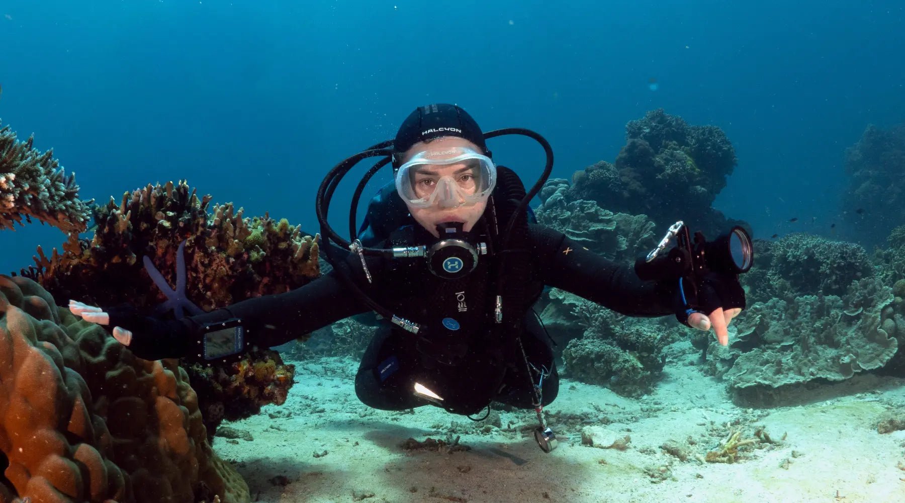 Halcyon Elastic Dive Mask Strap - Infinity DiveHalcyon Elastic Dive Mask StrapHalcyon