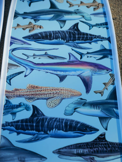 Divermon White Shark Free Diving Fins Blades - Composite Soft