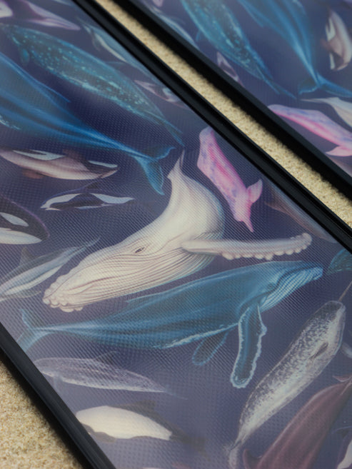 Divermon Indigo Cetaceans Free Diving Fins Blades - Composite Soft