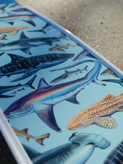 Divermon White Shark Free Diving Fins Blades - Composite Soft