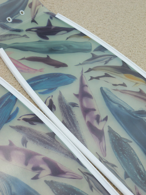 Divermon Cetaceans Free Diving Fins Blades - Composite Soft