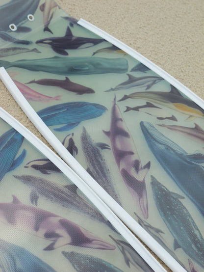 Divermon Cetaceans Free Diving Fins Blades - Composite Soft