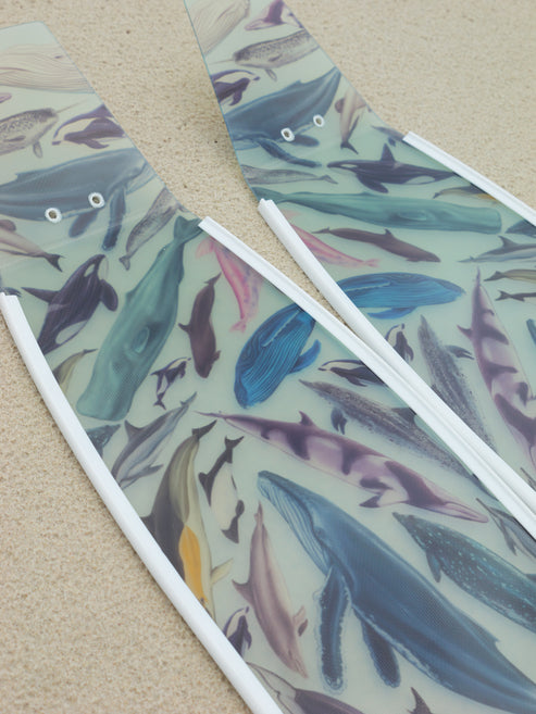 Divermon Cetaceans Free Diving Fins Blades - Composite Soft