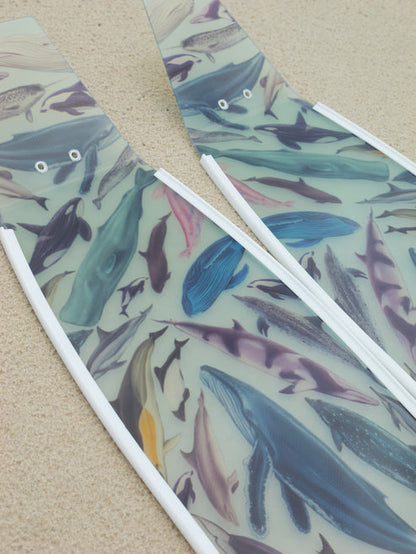 Divermon Cetaceans Free Diving Fins Blades - Composite Soft