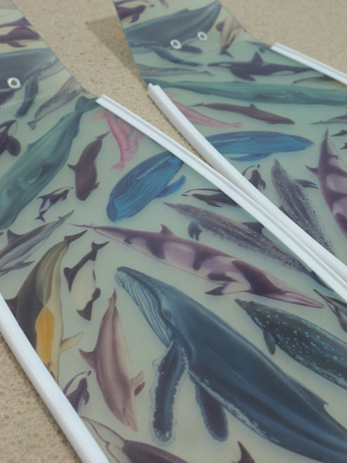 Divermon Cetaceans Free Diving Fins Blades - Composite Soft