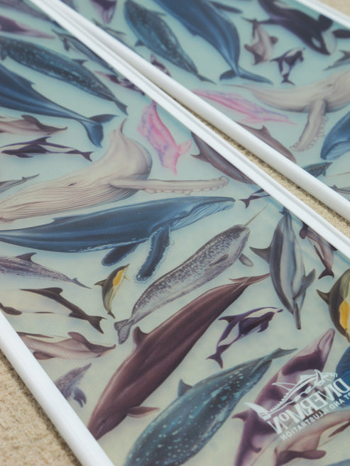 Divermon Cetaceans Free Diving Fins Blades - Composite Soft