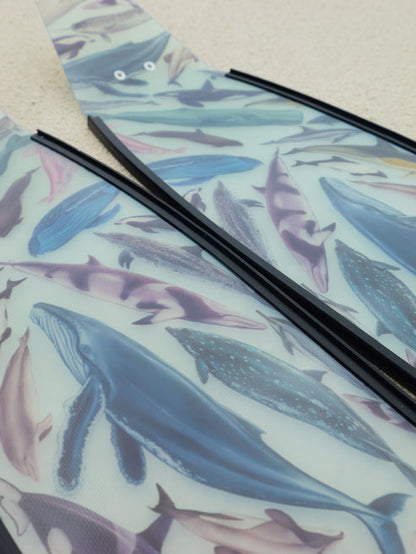 Divermon Cetaceans Free Diving Fins Blades - Composite Soft