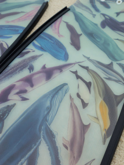 Divermon Cetaceans Free Diving Fins Blades - Composite Soft