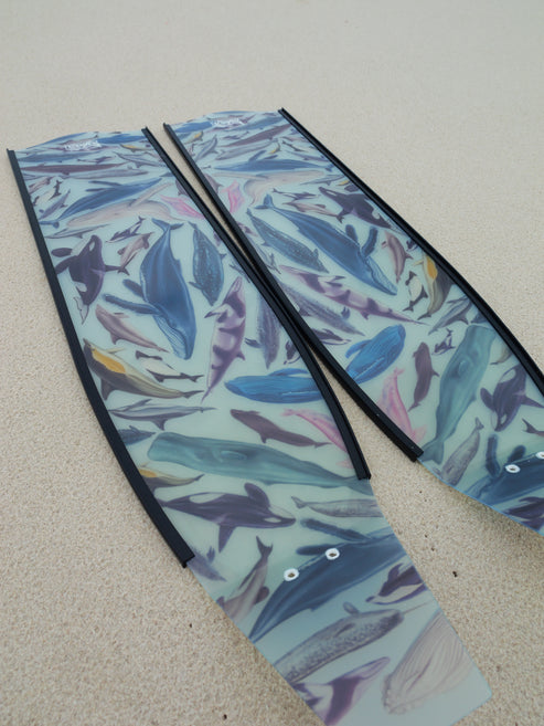 Divermon Cetaceans Free Diving Fins Blades - Composite Soft