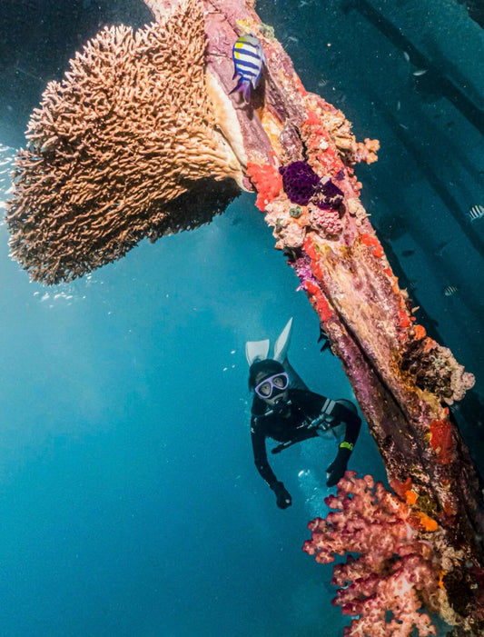 2027  Raja Manta Christmas Liveaboard (8D7N)
