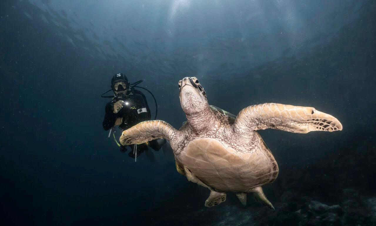 2027  Raja Manta Christmas Liveaboard (8D7N)