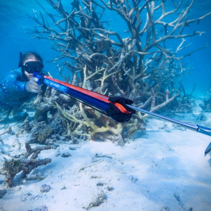Ocean Hunter Blue Speargun SGS 600 to 1200 - Infinity DiveOcean Hunter Blue Speargun SGS 600 to 1200Ocean Hunter