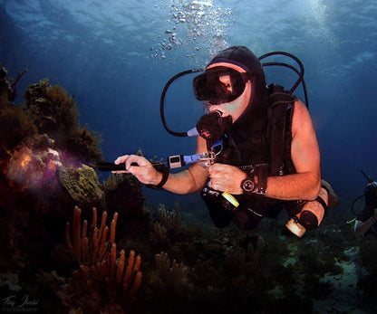 OrcaTorch D520 Underwater Dive Torch - 1000 Lumens - Infinity DiveOrcaTorch D520 Underwater Dive Torch - 1000 LumensOrcatorch