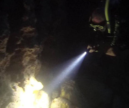 OrcaTorch D520 Underwater Dive Torch - 1000 Lumens - Infinity DiveOrcaTorch D520 Underwater Dive Torch - 1000 LumensOrcatorch