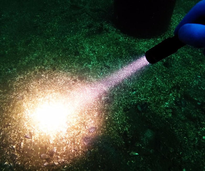 OrcaTorch D520 Underwater Dive Torch - 1000 Lumens - Infinity DiveOrcaTorch D520 Underwater Dive Torch - 1000 LumensOrcatorch