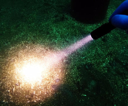 OrcaTorch D520 Underwater Dive Torch - 1000 Lumens - Infinity DiveOrcaTorch D520 Underwater Dive Torch - 1000 LumensOrcatorch