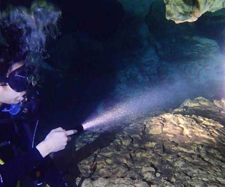 OrcaTorch D520 Underwater Dive Torch - 1000 Lumens - Infinity DiveOrcaTorch D520 Underwater Dive Torch - 1000 LumensOrcatorch