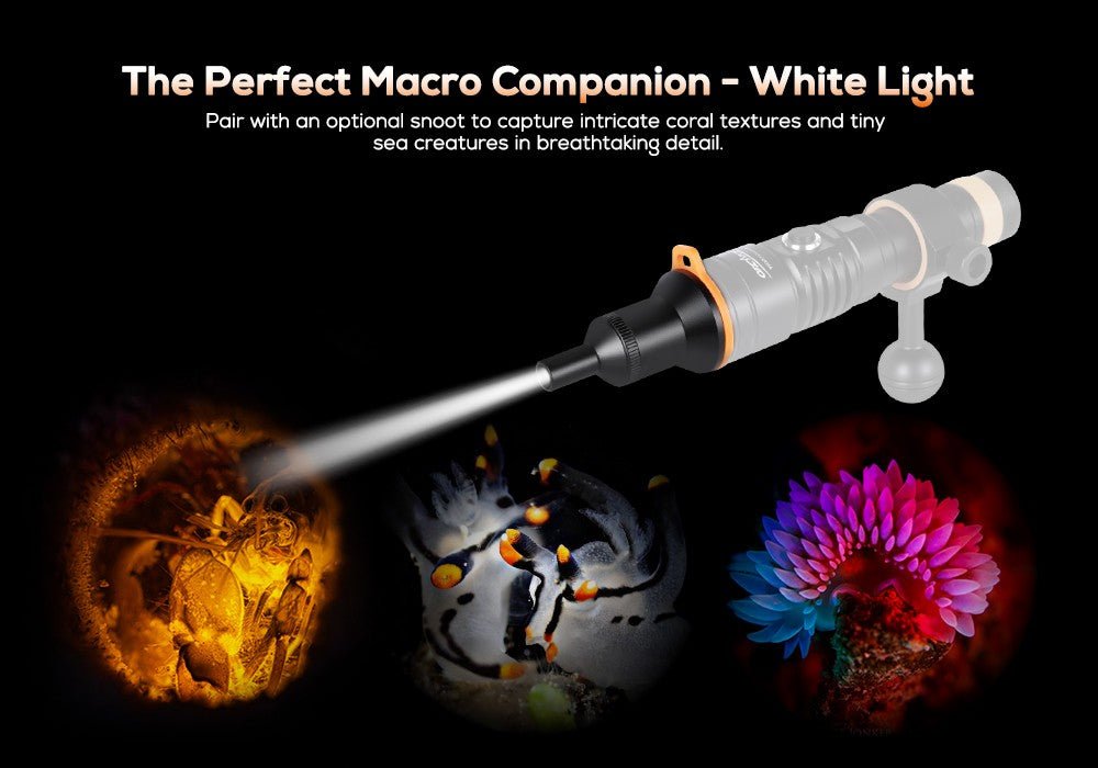 Orcatorch D710V MK2 Underwater Video Light - Infinity DiveOrcatorch D710V MK2 Underwater Video LightOrcatorch