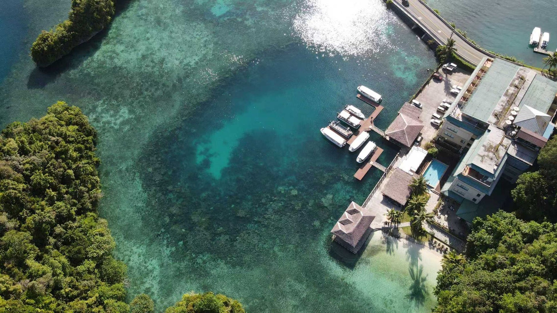 Palau 9 days 8 nights Dive Adventures with 18 Guided Boat Dives - Infinity DivePalau 9 days 8 nights Dive Adventures with 18 Guided Boat DivesInfinity Dive