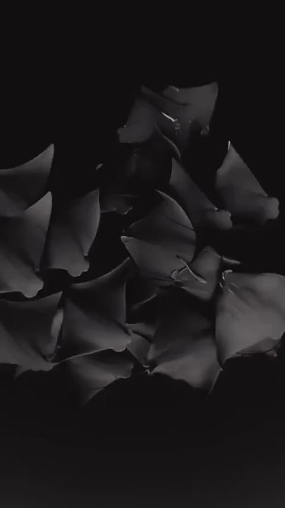 DiveR - Dark Dancing by Alex Kydd Free Diving Fin Blades