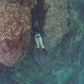 Divermon Turtle Free Diving Fins Blades - Composite Soft