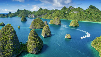 Raja Ampat 6 - Night X'mas Dive Adventure - December 20 - 26, 2026 - Infinity DiveRaja Ampat 6 - Night X'mas Dive Adventure - December 20 - 26, 2026Infinity Dive