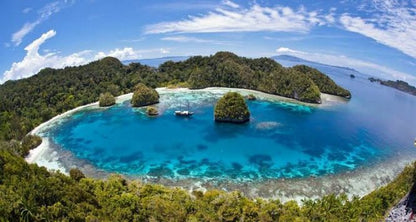 Raja Ampat 6 - Night X'mas Dive Adventure - December 20 - 26, 2026 - Infinity DiveRaja Ampat 6 - Night X'mas Dive Adventure - December 20 - 26, 2026Infinity Dive