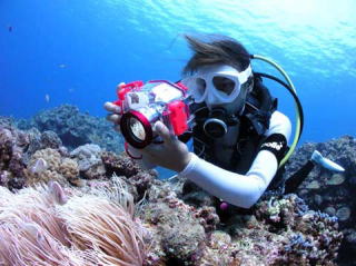 Discover Scuba Diving / Double Dive