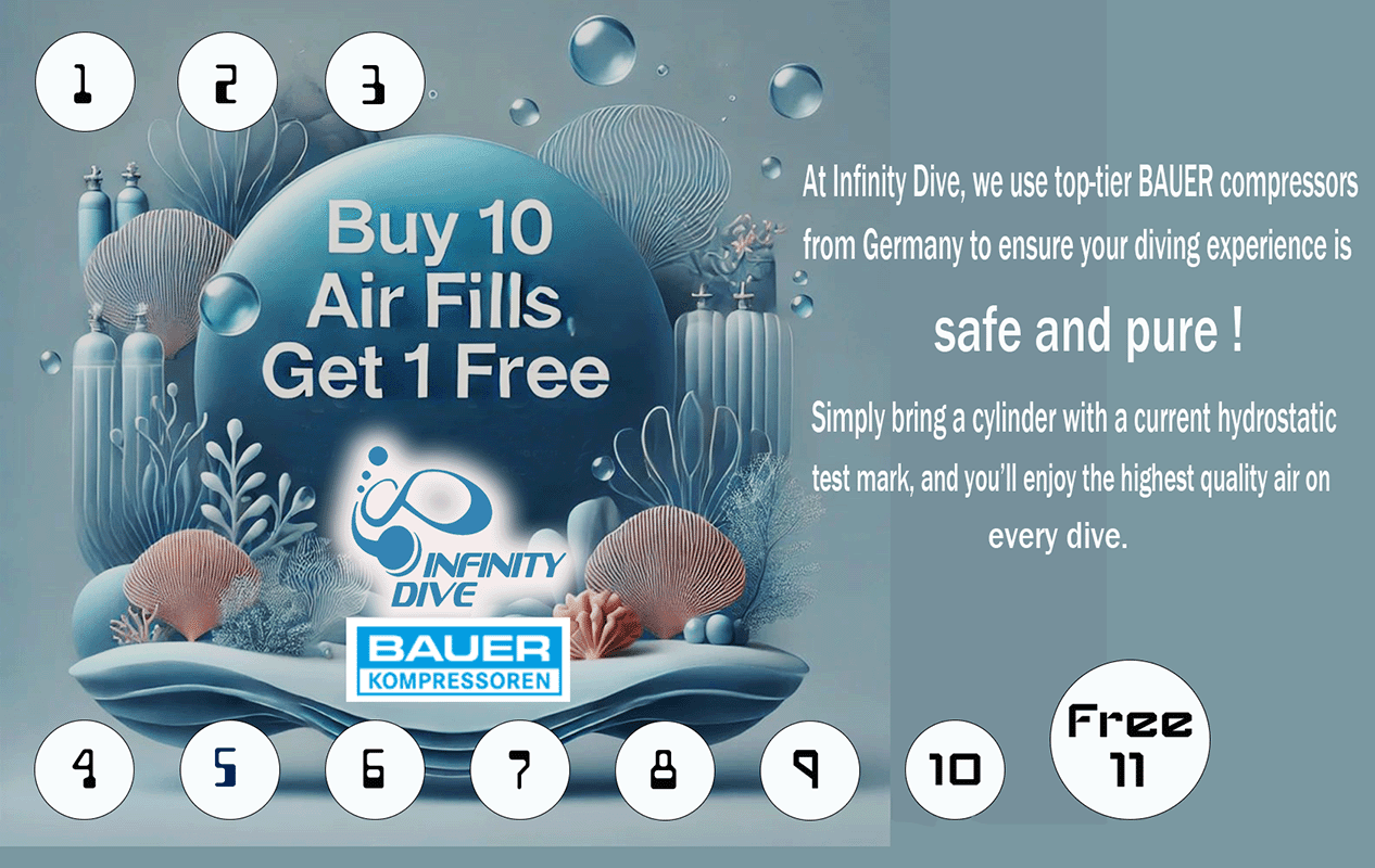 Scuba Dive Air Tank/ Cylinder fills Card - Infinity DiveScuba Dive Air Tank/ Cylinder fills CardInfinityDive