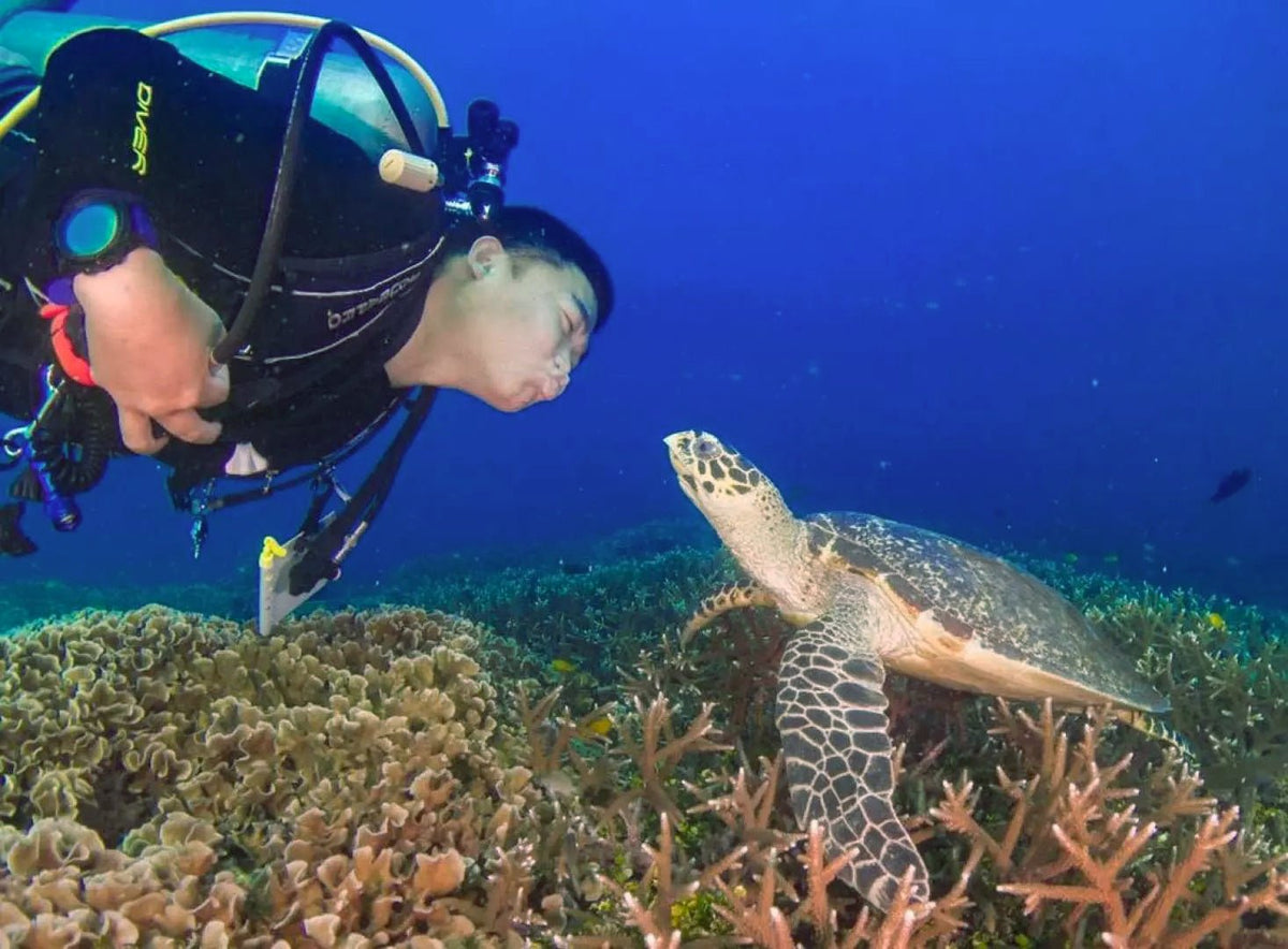 SDI Open Water Scuba Diver Course - Infinity DiveSDI Open Water Scuba Diver CourseInfinityDive