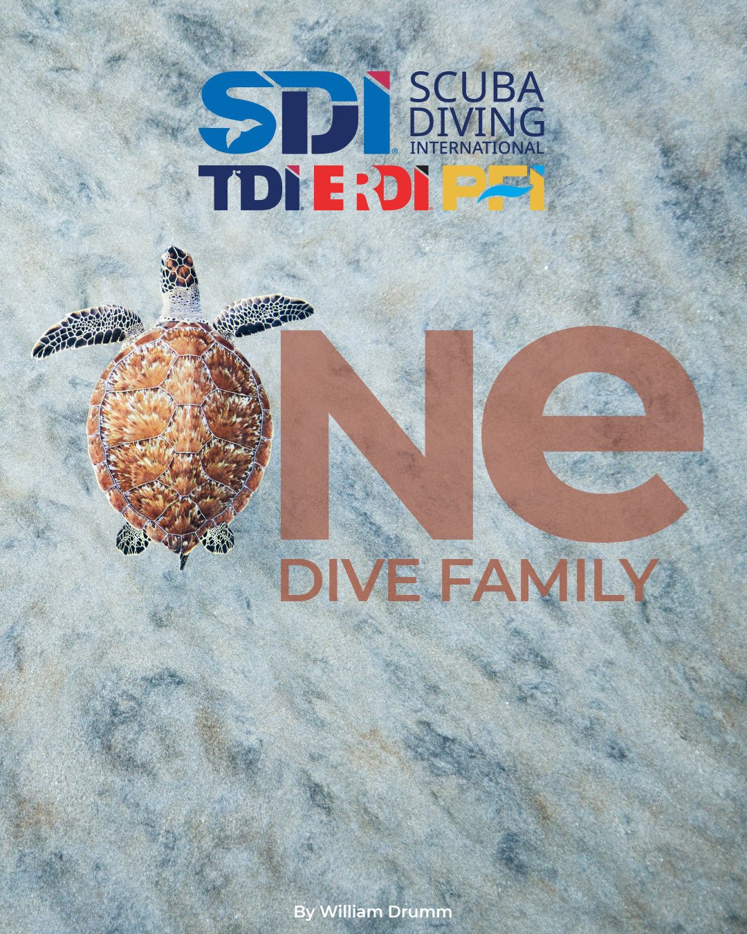 SDI Open Water Scuba Diver Course - Infinity DiveSDI Open Water Scuba Diver CourseInfinityDive