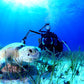 SDI Underwater photographer Diver Course