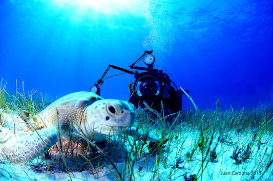 SDI水下摄影师潜水员课程