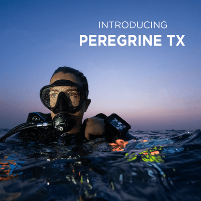 Shearwater Peregrine TX Dive Computer - Infinity DiveShearwater Peregrine TX Dive ComputerShearwater