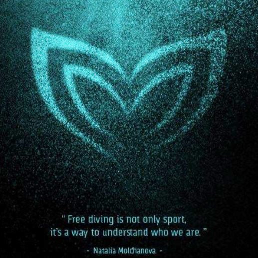 Sydney Freediving Chinese Course - Molchanovs or AIDA - Infinity DiveSydney Freediving Chinese Course - Molchanovs or AIDAInfinityDive