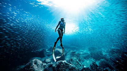 Sydney Freediving Chinese Course - Molchanovs or AIDA - Infinity DiveSydney Freediving Chinese Course - Molchanovs or AIDAInfinityDive