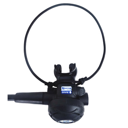 Halcyon Back up Necklace Cord