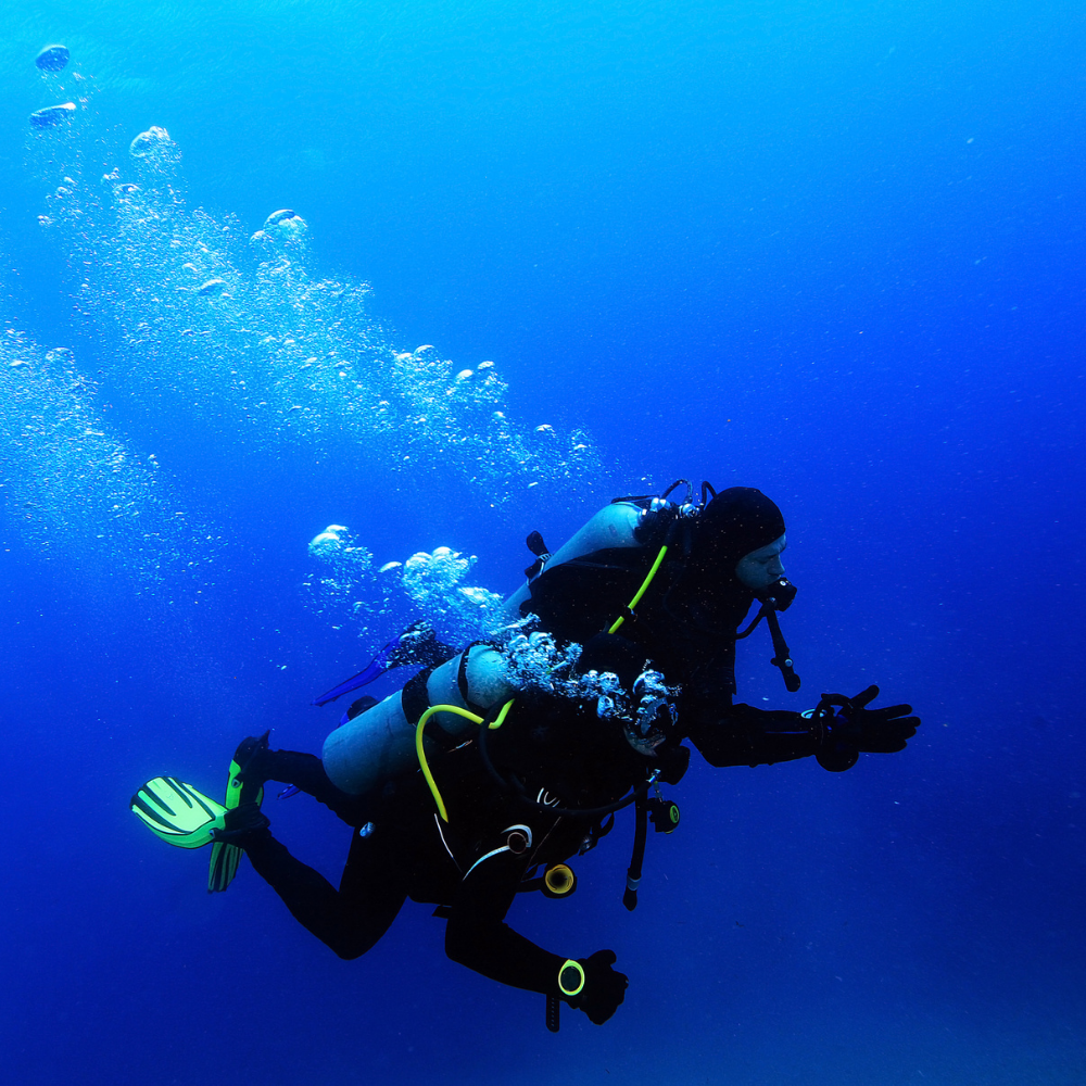 探索水肺潜水 - 2 次潜水