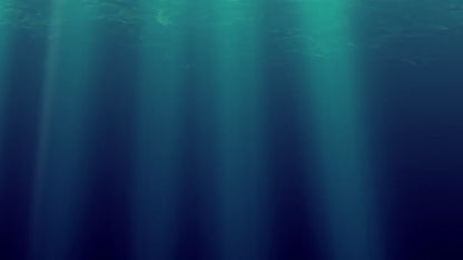 Mares Razor Illusion Fins - Clearance