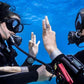 泳池和開放水域水肺潛水訓練