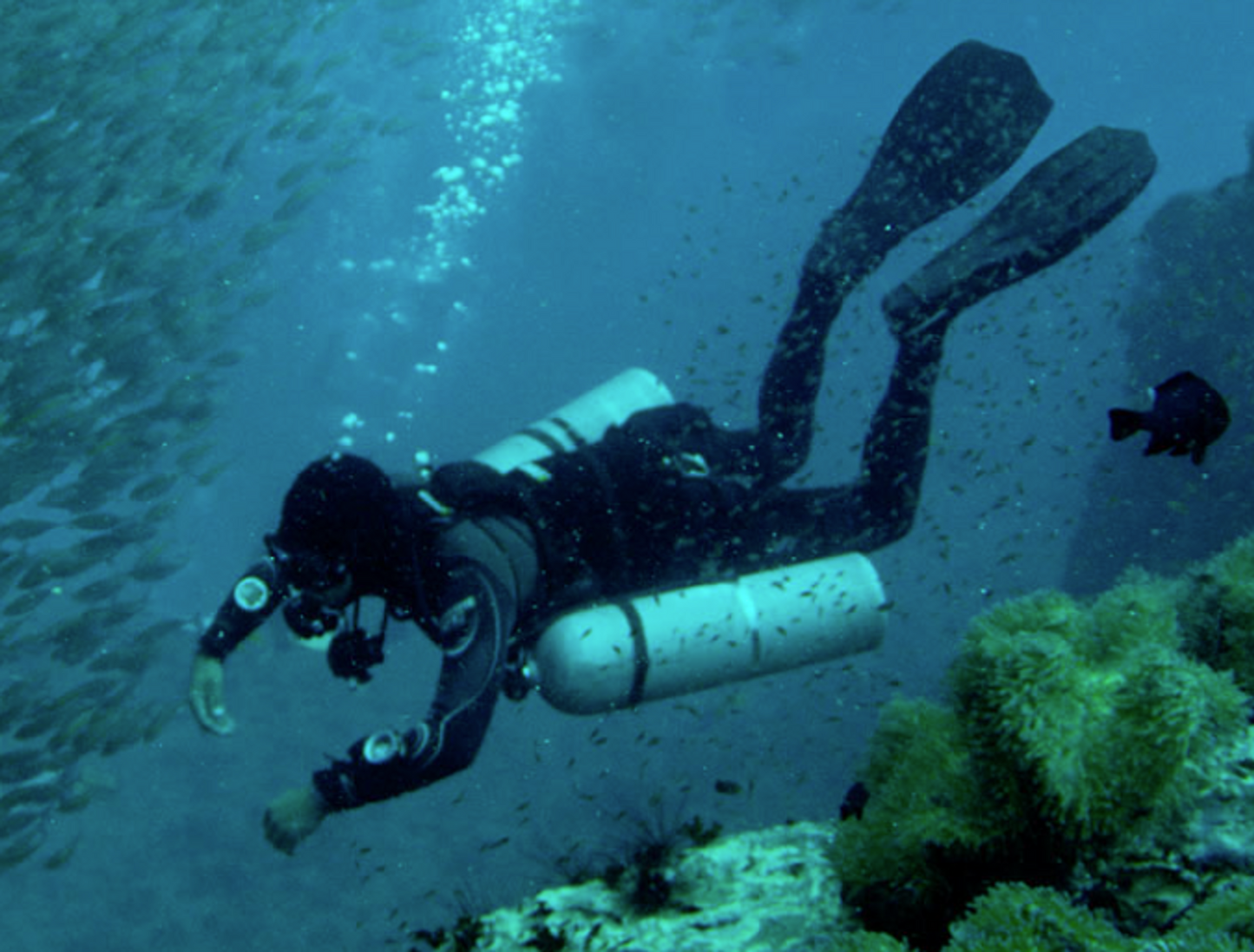 SDI 側掛式潛水員課程