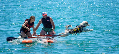 Cressi Premium Dog Life Jacket - Infinity DiveCressi Premium Dog Life JacketCressi