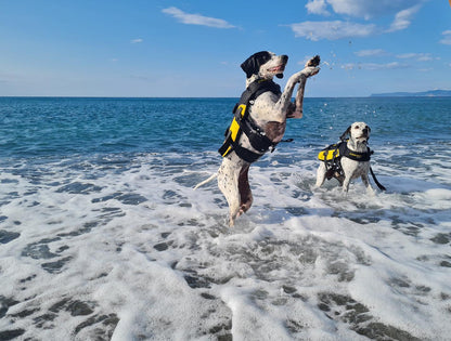 Cressi Premium Dog Life Jacket - Infinity DiveCressi Premium Dog Life JacketCressi