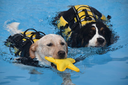Cressi Premium Dog Life Jacket - Infinity DiveCressi Premium Dog Life JacketCressi