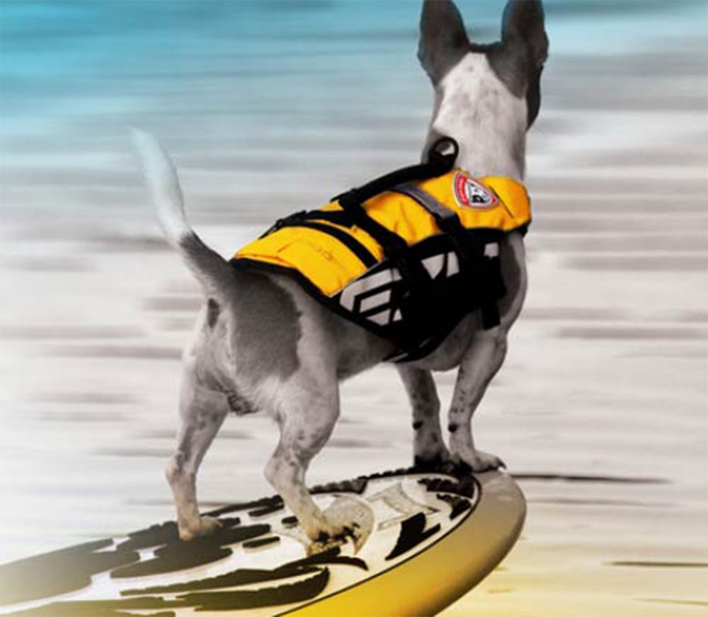 Cressi Premium Dog Life Jacket - Infinity DiveCressi Premium Dog Life JacketCressi
