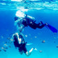 開放水域水肺潛水課程