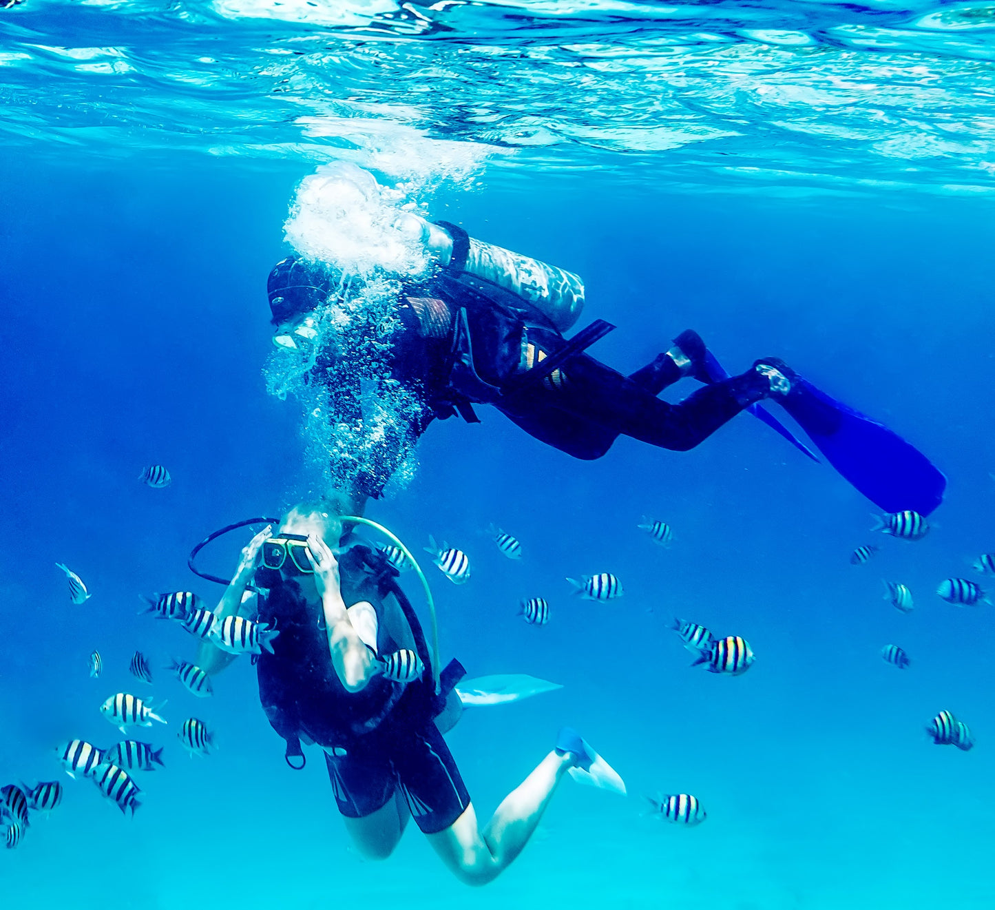 開放水域水肺潛水課程